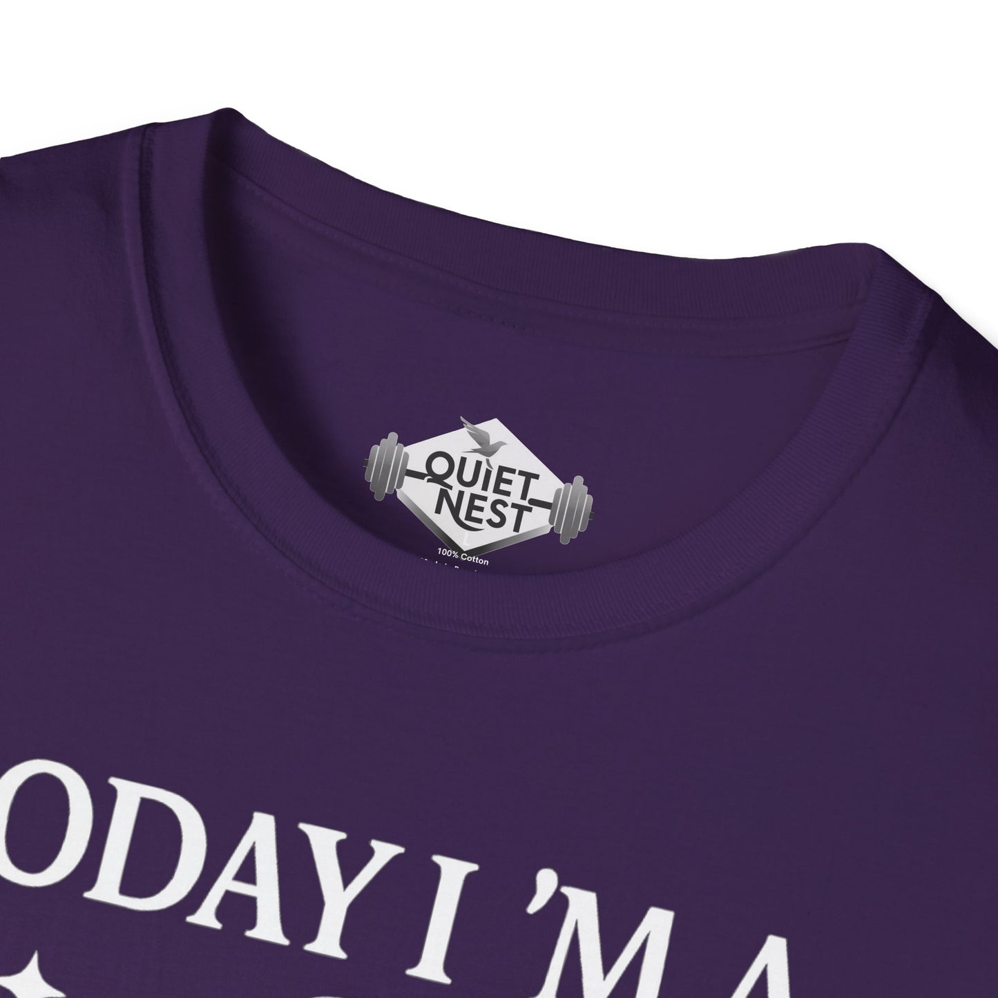 Serious Silly Goose Unisex Tee