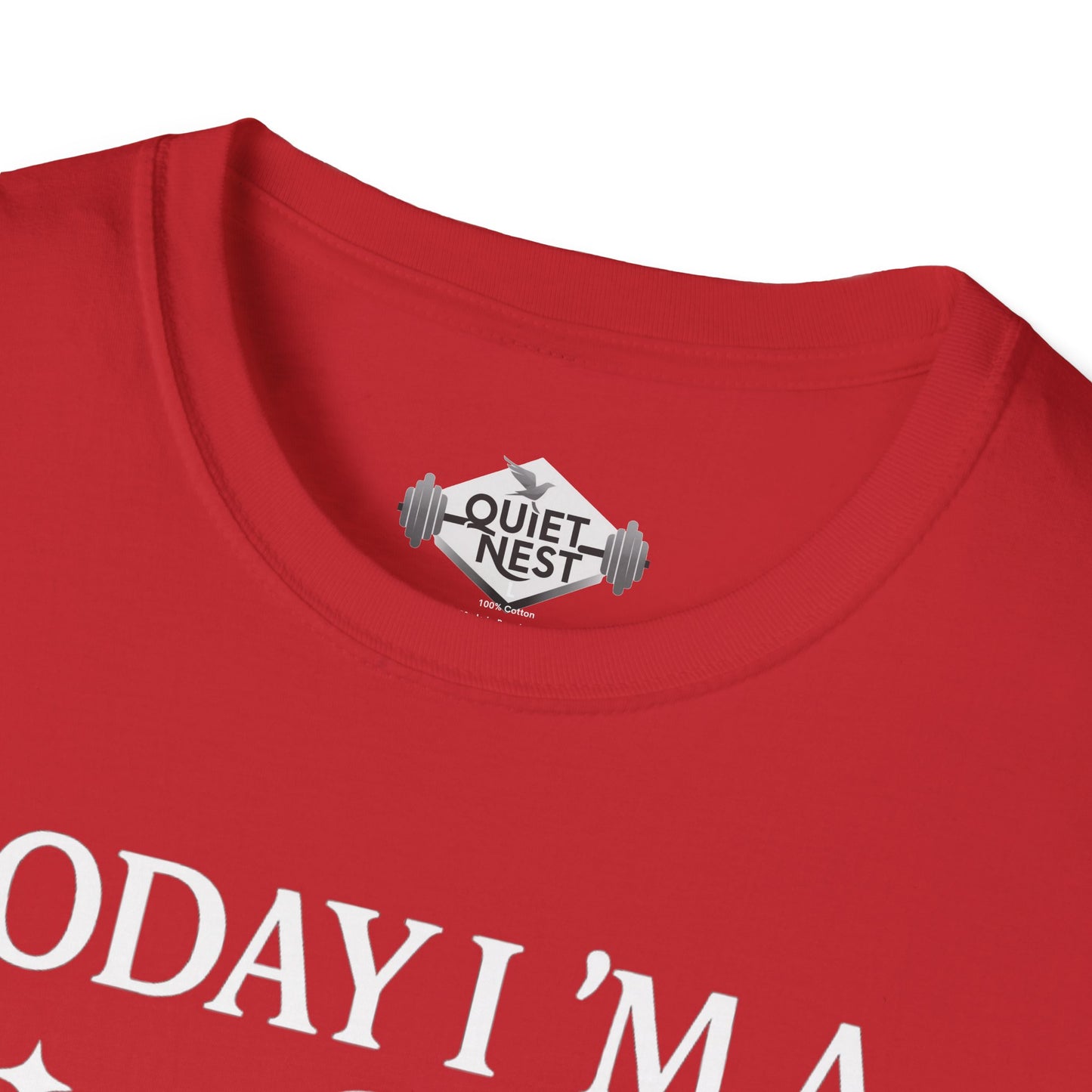 Serious Silly Goose Unisex Tee